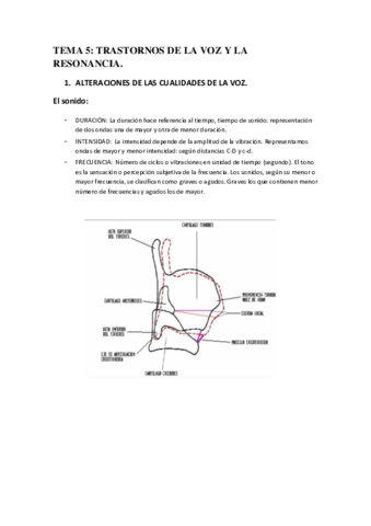 APUNTES-TEMA-5.pdf