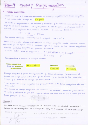 T4-FUERZAS-Y-CAMPOS-MAGNETICOS.pdf