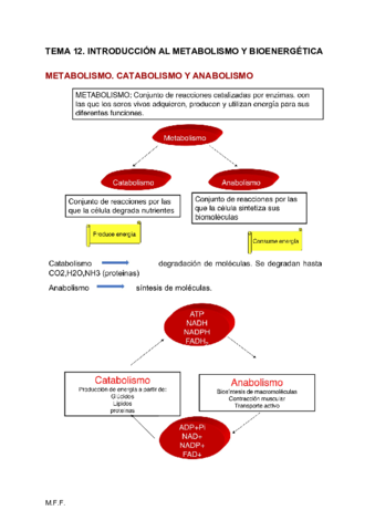 2-PARCIAL-BIOQUIMICA.pdf