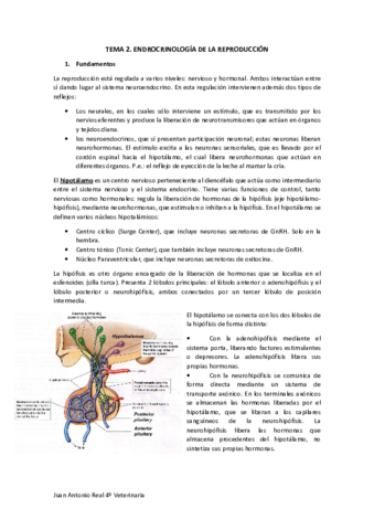 Tema-2-.pdf