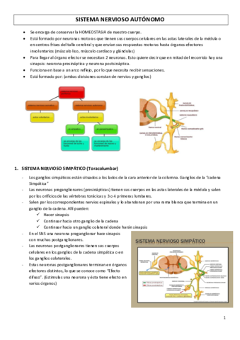 SISTEMA-NERVIOSO-AUTONOMO.pdf