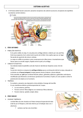 SISTEMA-AUDITIVO.pdf