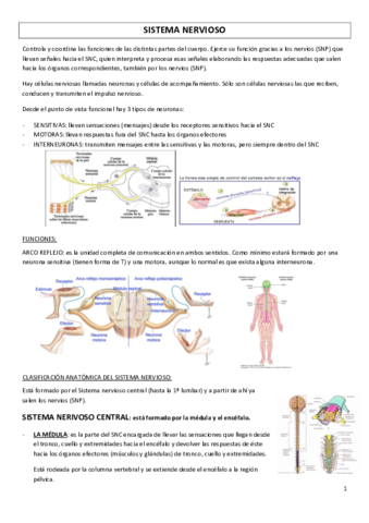 SISTEMA-NERVIOSO.pdf