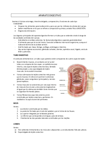 APARATO-DIGESTIVO.pdf