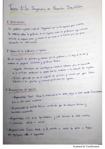 TODOS-TEMAS-RESUMIDOS.pdf