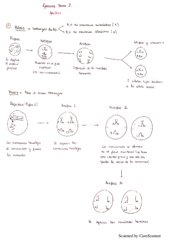 Ejercicios-tema-2-genetica.pdf
