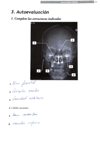 Libro-Radiologia-Anatomia-corregido.pdf