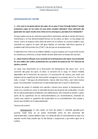GENERADOR DE VAPOR.pdf