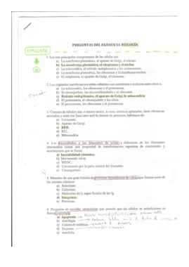 Modelo examen final 1.pdf