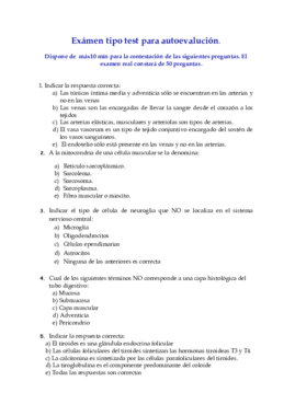 Modelo examen final 2.pdf