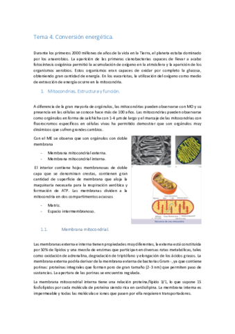 Tema-4.pdf