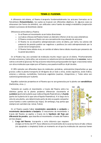FISIOLOGIA-T2.pdf