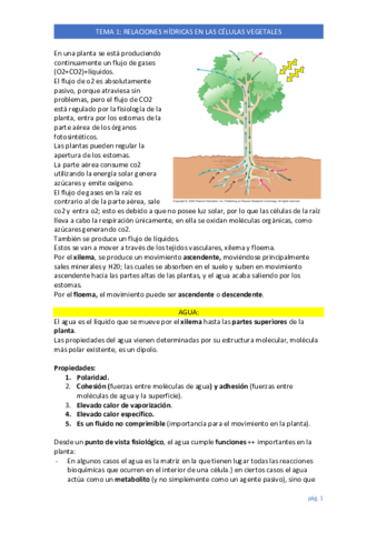 FISIOLOGIA-VEGETAL-T1.pdf