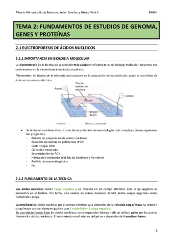 BMG-tema-2.pdf