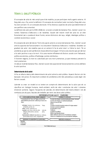 TEMARI-SALUT-.pdf