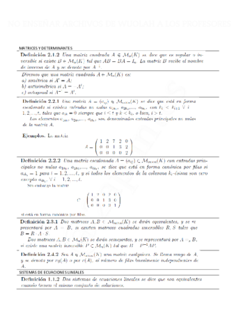 TEORIA-DE-ALGEBRA.pdf