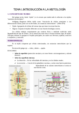 TEMA-1.pdf