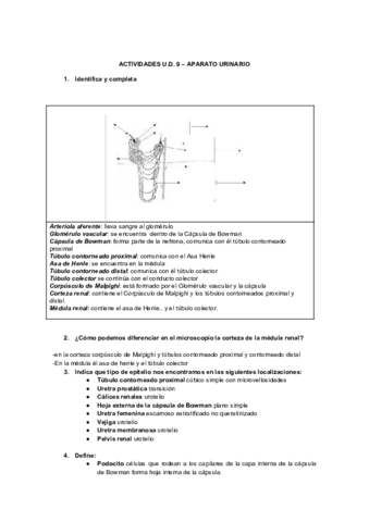 act-t9-fg.pdf