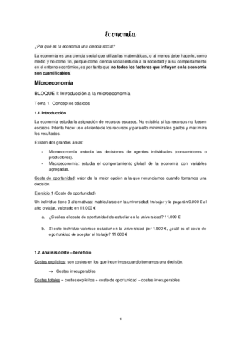 Apuntes-Economia.pdf