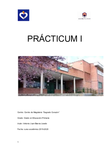 PRACTICUM-I.pdf