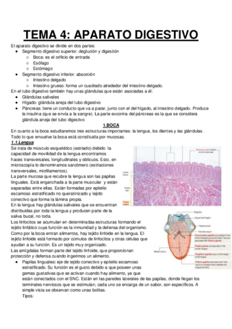 APARATO-DIGESTIVO.pdf