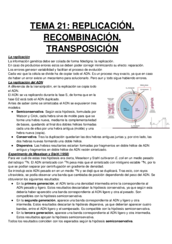 TEMA-5REPLICACION.pdf