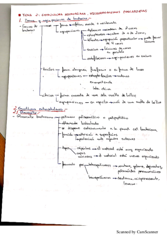 Capitulo-2-Microbiologia.pdf