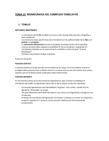 Tema-23.pdf