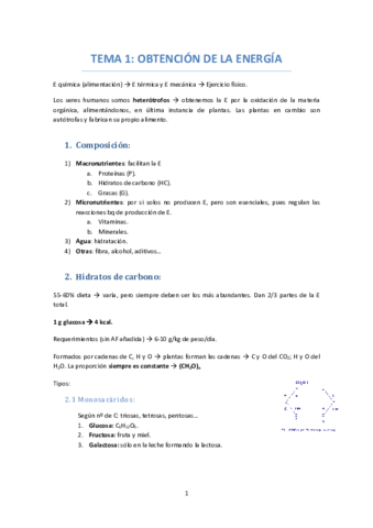 TEMA-1-OBTENCION-DE-LA-ENERGIA.pdf