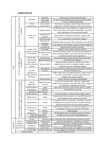 GLOBO-OCULAR.pdf