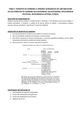 Tema 7.pdf