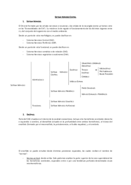 tema 3. Sistema Nervioso Central.pdf