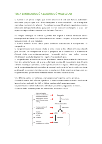 TEMARI-MOLECULAR.pdf