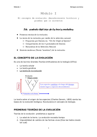 modulo-I.pdf