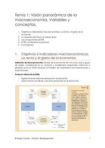 Tema 1 - Variables y conceptos.