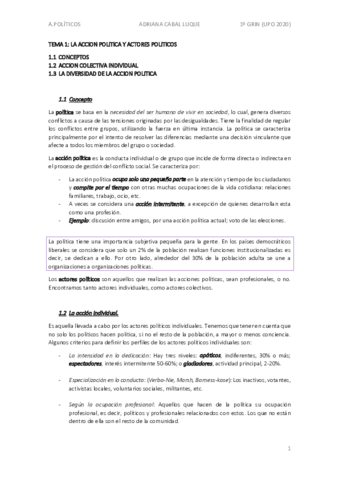 TEMA-1-ACCION-POLITICA-individual-.pdf