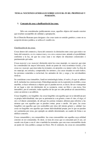 TEMA-6-LIMPIO-ROMANO.pdf