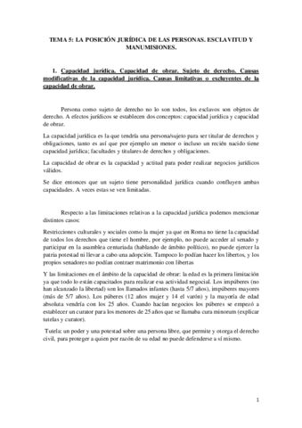 TEMA-5-LIMPIO-ROMANO.pdf