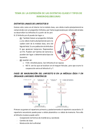 TEMA-10-La-expresion-de-las-distintas-clases-y-tipos-de-inmunoglobulinas.pdf
