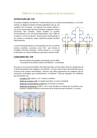 Tema-13-El-receptor-antigenico-de-los-linfocitos-T.pdf