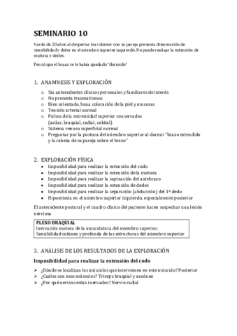 SEMINARIO-10.pdf