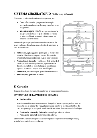 Circulatorio.pdf