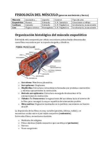 Fisiologiadelmusculopdf.pdf