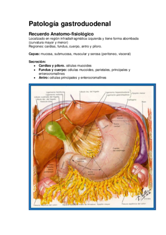 2.Gastroduodenal.pdf