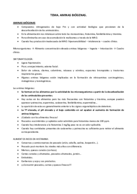 Tema Aminas.pdf