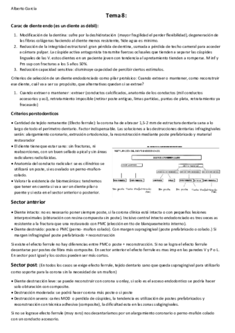 Tema-8.pdf