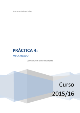 P4_Carmen Zurbano Bustamante.pdf