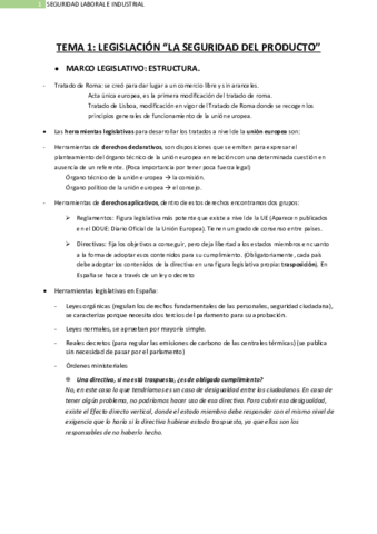 Resumen-Seguridad-laboral.pdf
