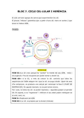 BLOC-7-cicle-cellular-i-herencia.pdf