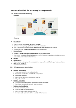 Tema 2. Análisis del entorno y de la competencia..pdf